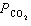 mc095-2.jpg